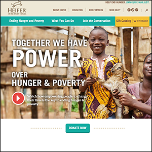 heifer